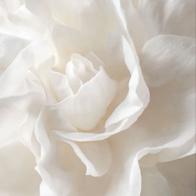 Package of 6 Skin & Soul Elevated at Skin & Soul Aesthetics in Turlock, CA